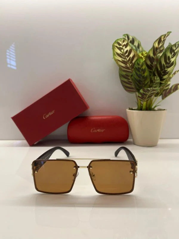 Branded Ctie_r Gold Brown Sunglasses EW
