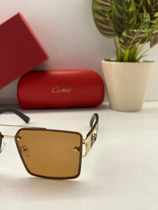 Branded Ctie_r Gold Brown Sunglasses EW